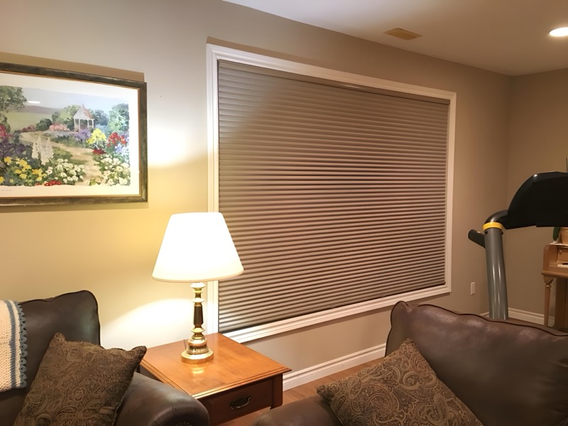 Cellular shades providing privacy and light control